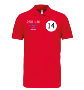 Polo Ferrari 250lm n°14