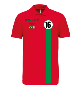 Polo Ferrari 312pb n°16