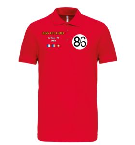 Polo Ferrari 365GT4-BB n°86