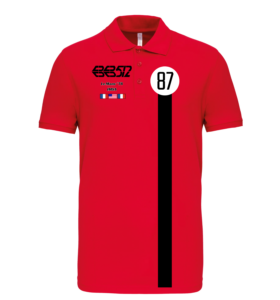 Polo Ferrari BB512 n°87