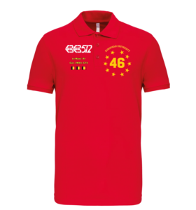 Polo Ferrari BB512 n°46